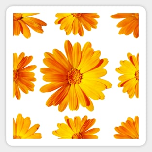 Marigold pattern Magnet